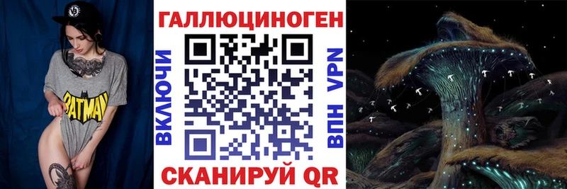 Псилоцибиновые грибы GOLDEN TEACHER как найти закладки Сургут
